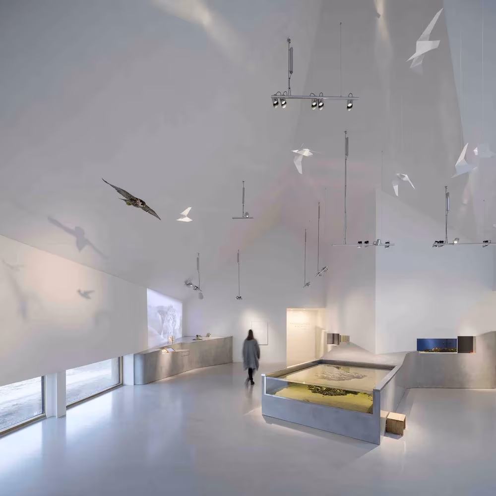 Sala de exposición con aves suspendidas y una maqueta del paisaje en el Centro del Mar de Wadden