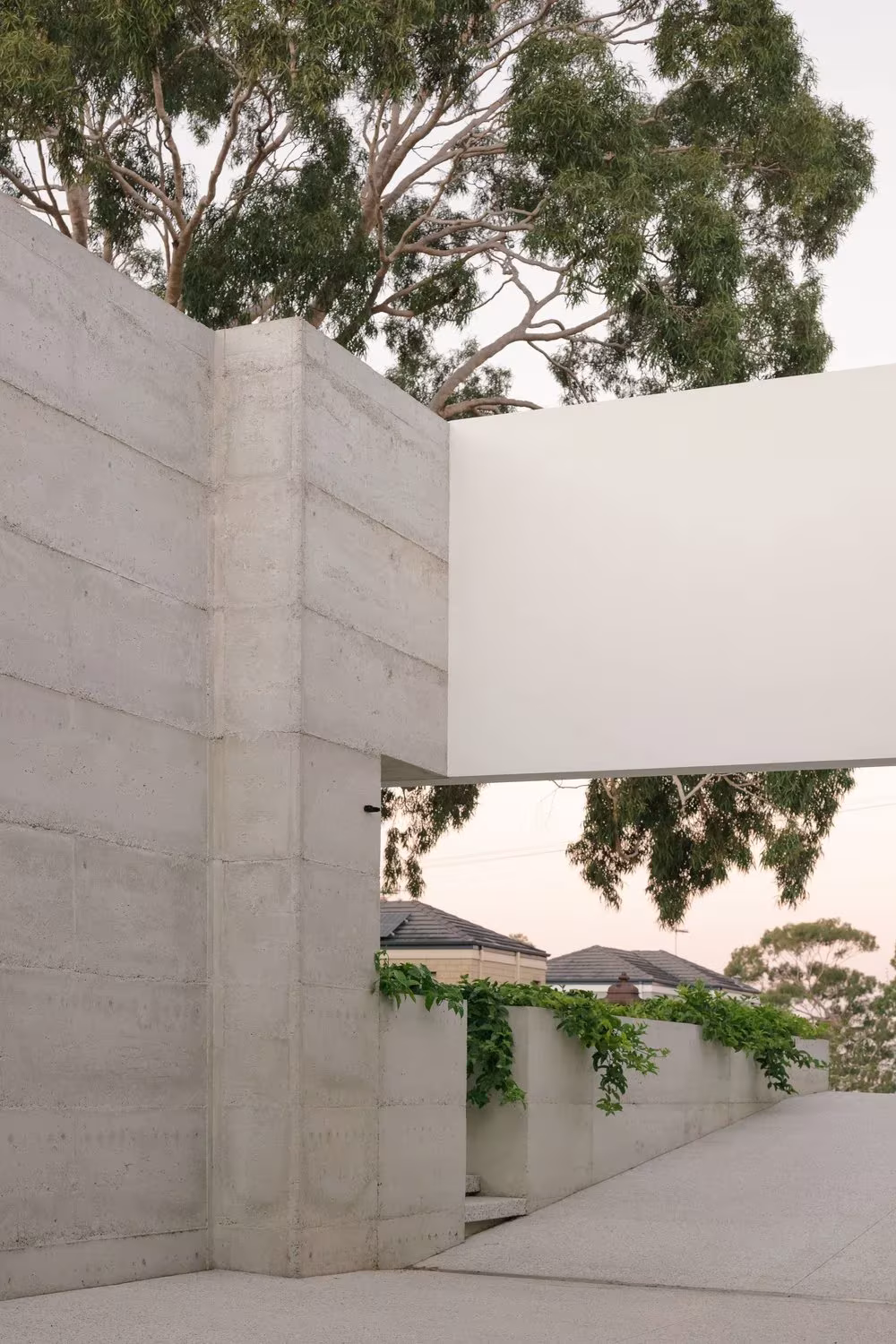 Muro de hormigón por tongadas junto a un plano blanco y eucaliptos en la casa de Whispering Smith