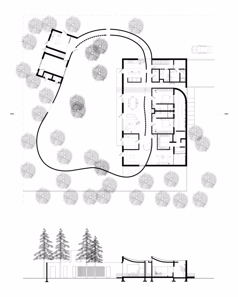 Planta y sección de Forest House de LANZA Atelier con el muro curvo que rodea el arbolado