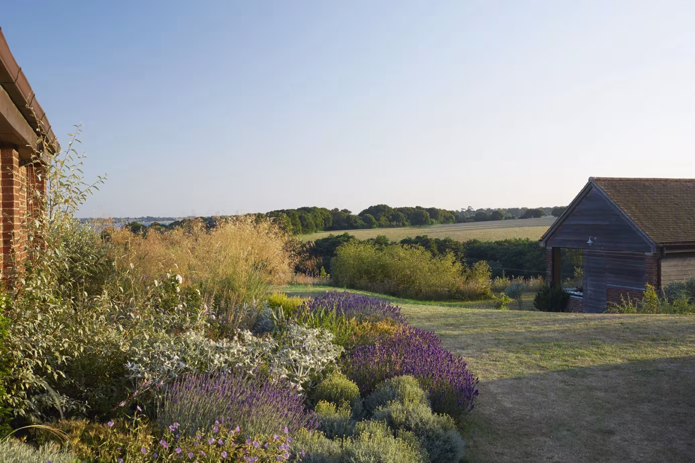 Jardín de flores silvestres junto a un granero de madera oscura de Wall Farm al atardecer
