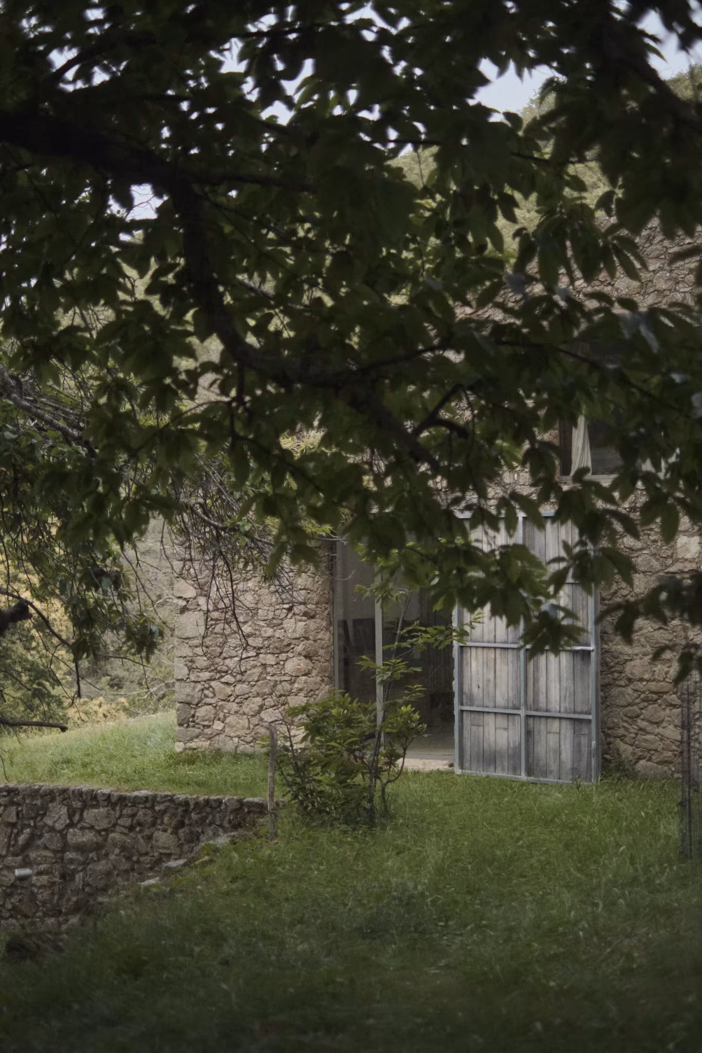 Muro de piedra y ventanal de una casa rodeada de vegetación bajo las ramas de un árbol, concurso fotográfico de Ábaton