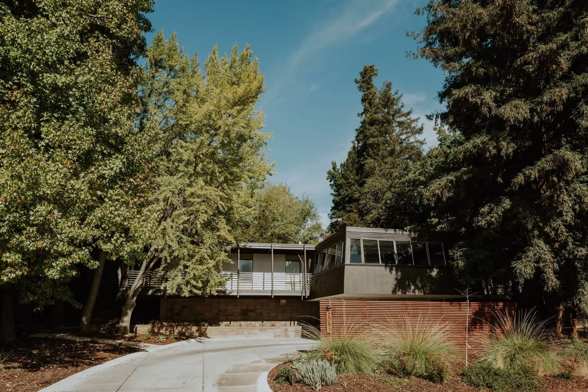 Residencia Nittler de 1963 de John Harvey Carter, un pabellón bajo entre árboles junto al camino de acceso