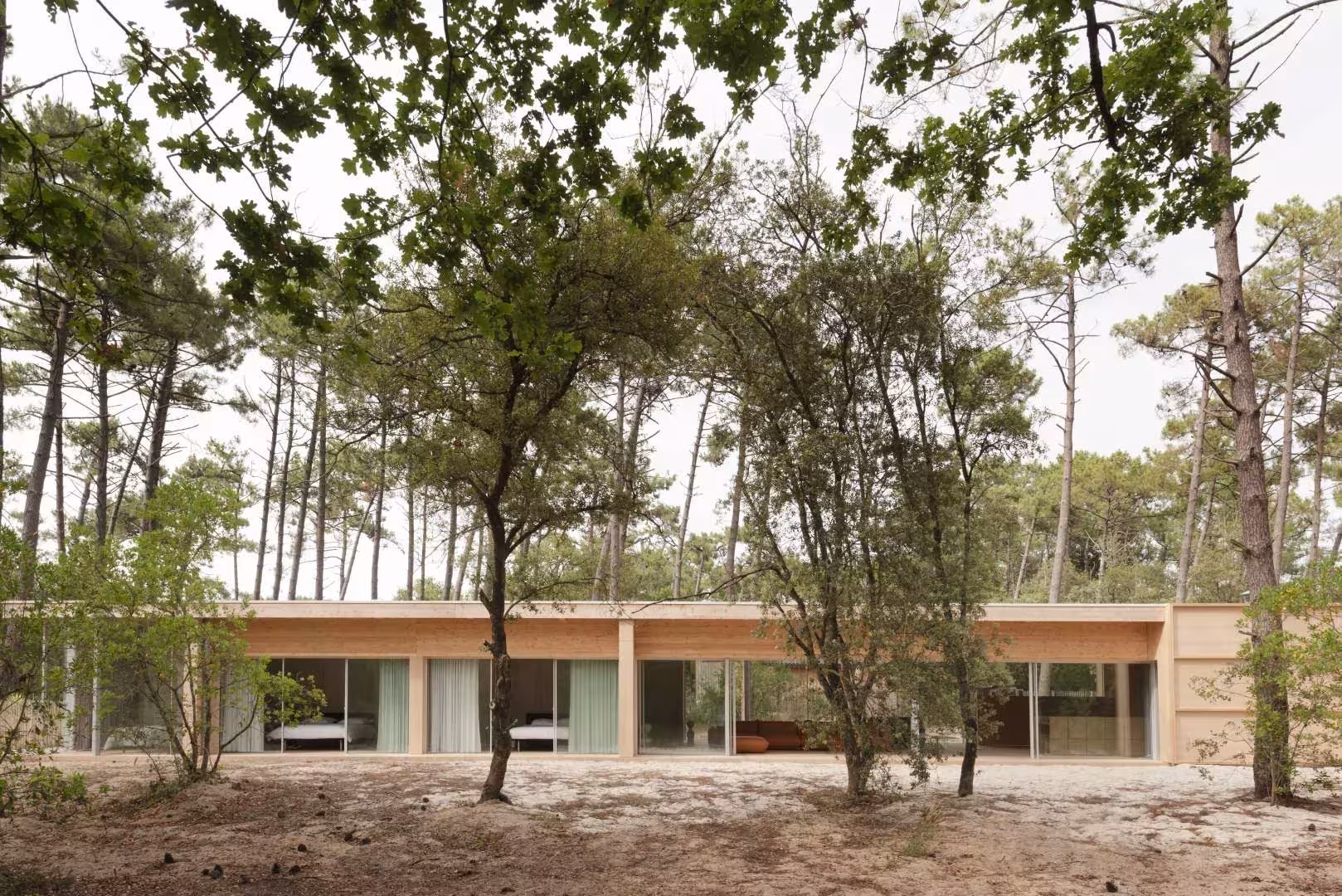 Maison en Bois, un pabellón horizontal acristalado de madera entre pinos y encinas sobre suelo de arena