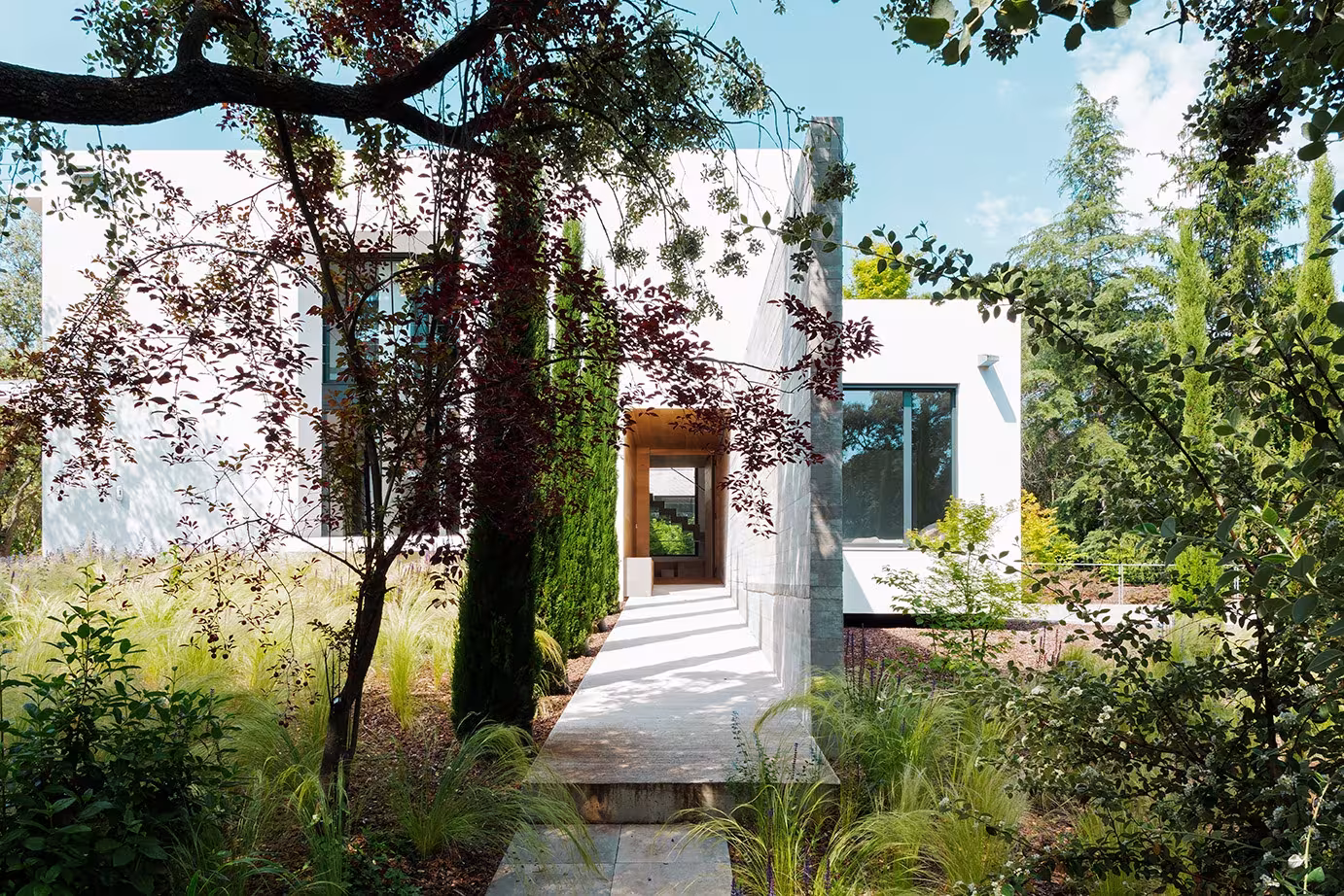 Camino de losas entre vegetación y pórtico de madera hacia la entrada del Proyecto CH, casa sin límites