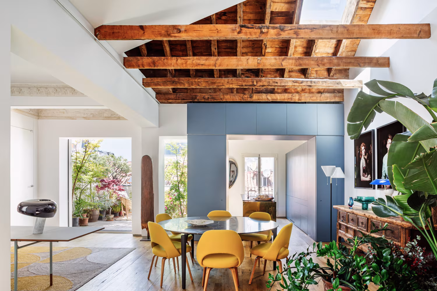 Dining room with exposed timber beams, blue volume and yellow chairs among plants, San Mateo refurbishment, Madrid
