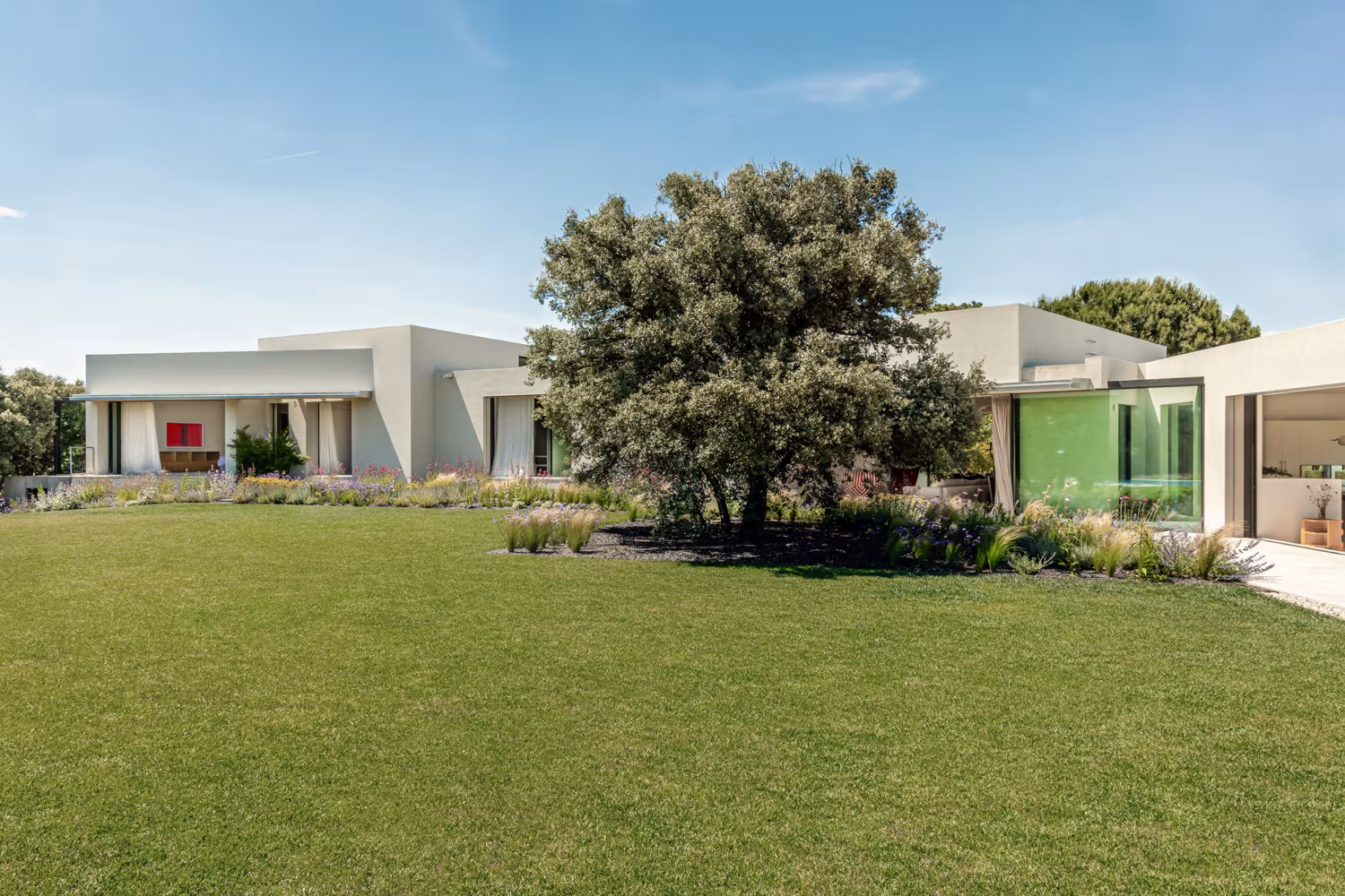 Single-storey façade of Casa Brisa behind the lawn, with a large holm oak at the centre of the garden