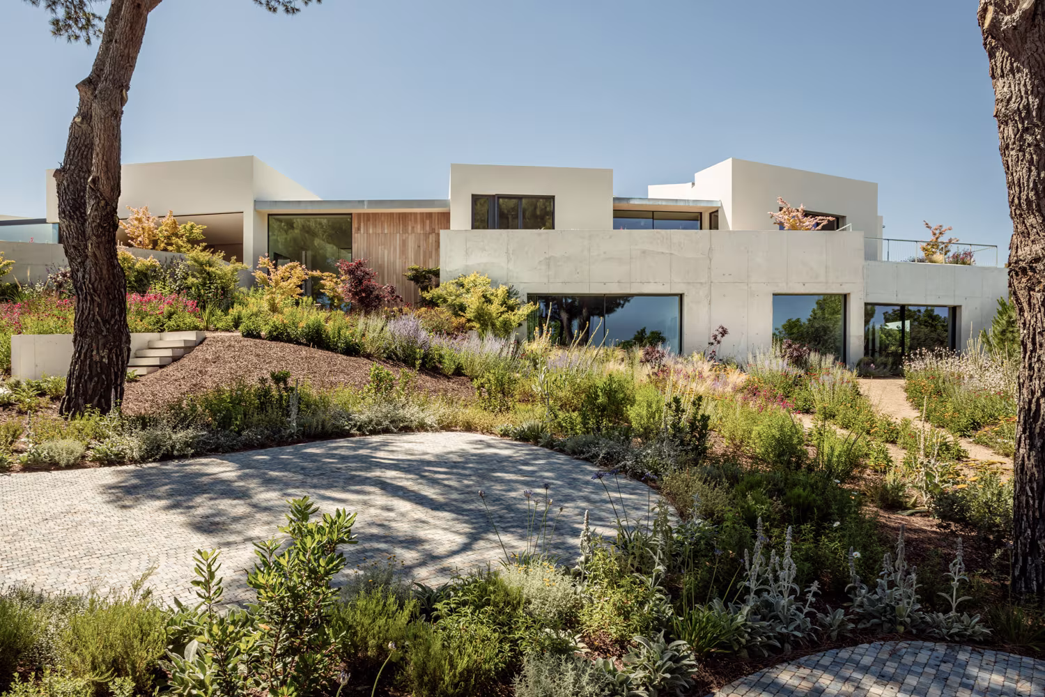 Camino de piedra bajo los árboles hacia una vivienda de líneas rectas entre plantas autóctonas