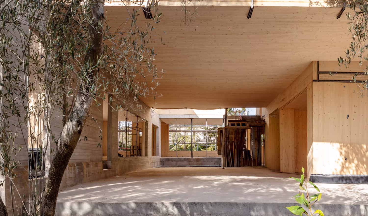 Ground floor under construction of an ÁBATON CLT timber house with timber walls and slab beside an olive tree