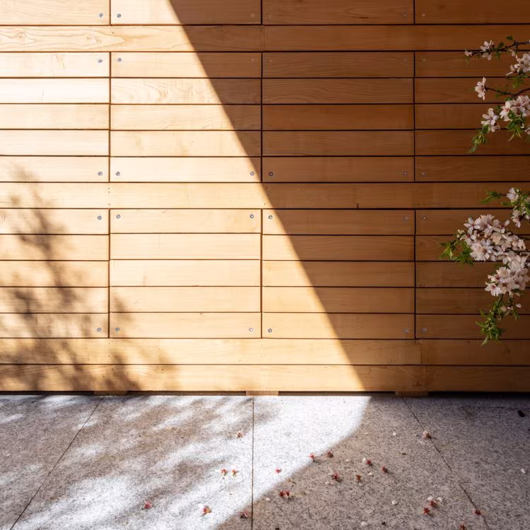 ABATON-Panteon-16 Timber slat cladding with joints and almond blossom above a stone threshold at El Panteón