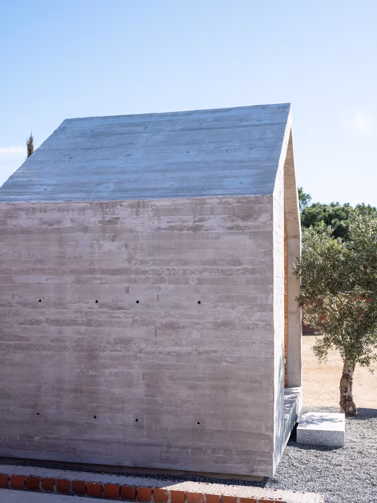 ABATON-Panteon-20 Side view of the El Panteón chapel with exposed concrete wall, gabled roof and an olive tree behind