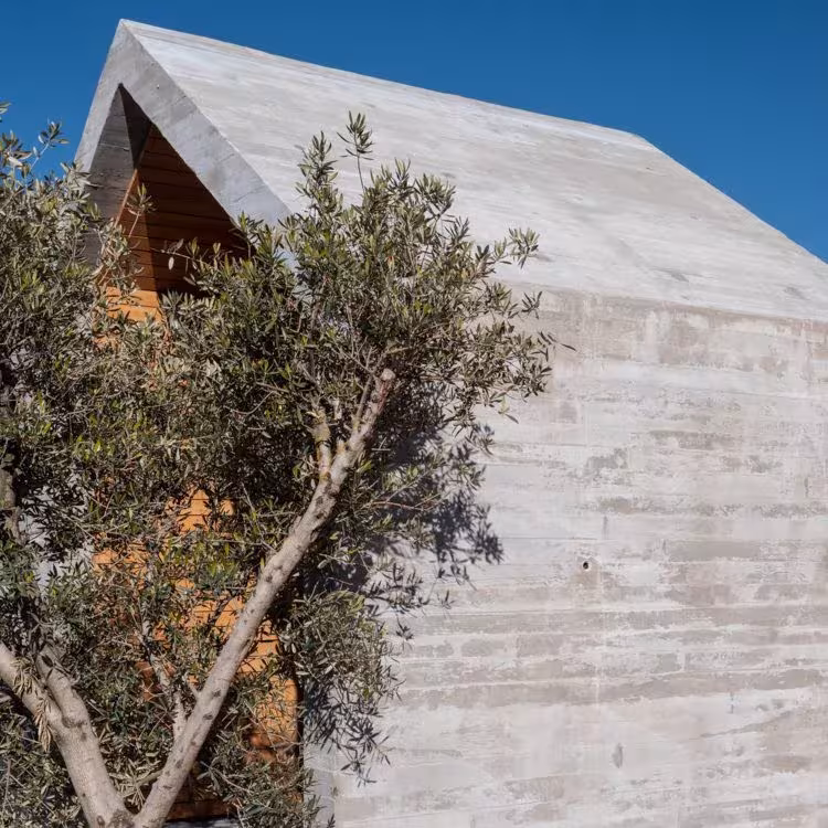 ABATON-Panteon-24 Concrete roof of El Panteón against a blue sky behind olive branches