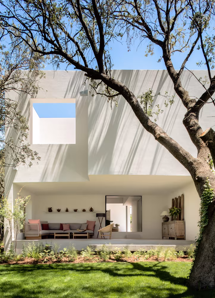 White façade with an olive tree, a skylight opening and a porch open onto the lawn