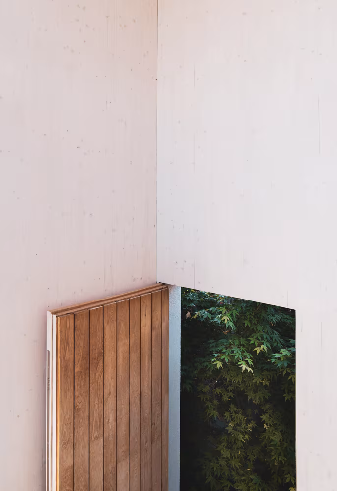Wooden door in a corner of a white wall with greenery beyond, in an ÁBATON house