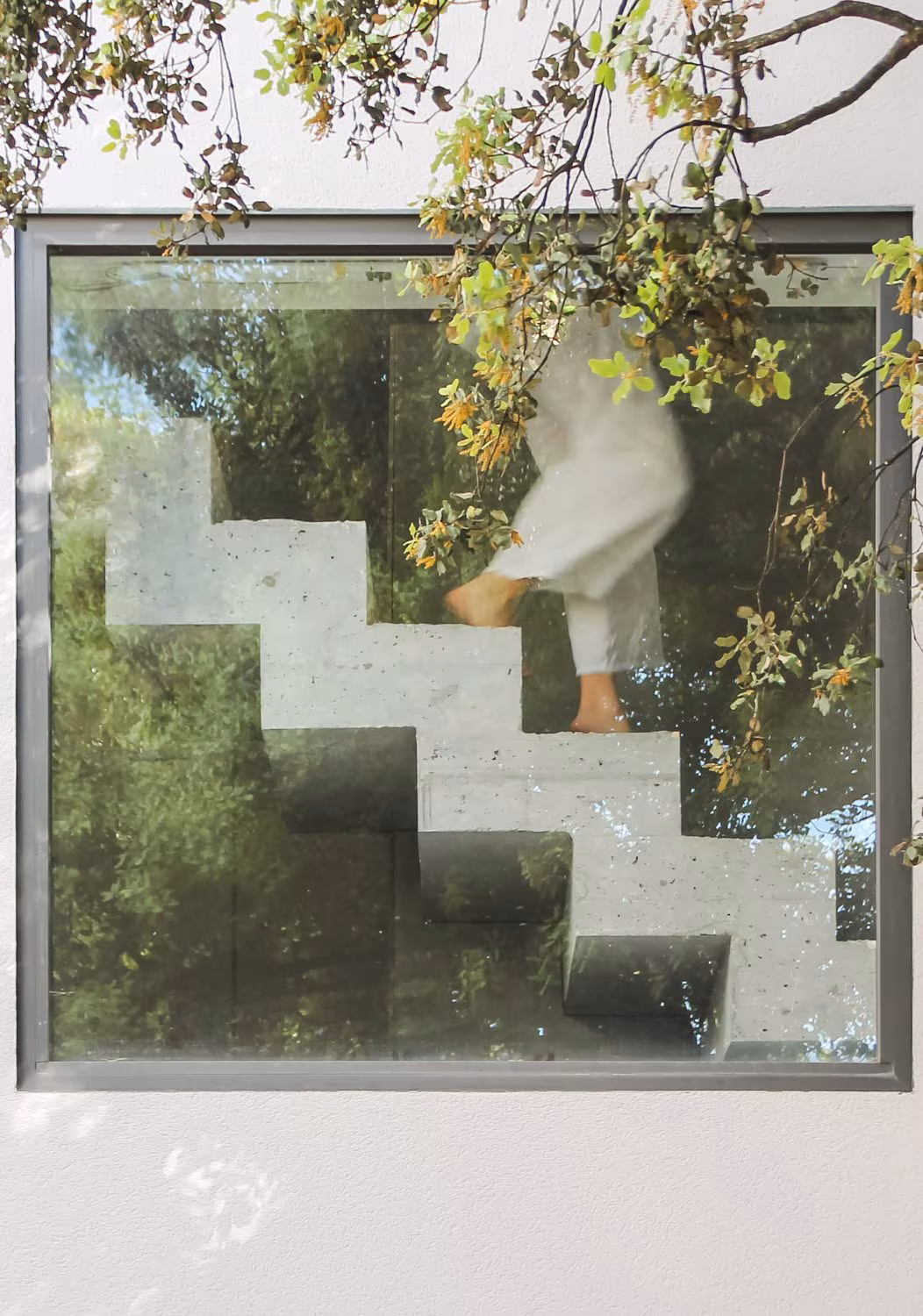 Stone staircase seen through a square window among branches, with a figure climbing