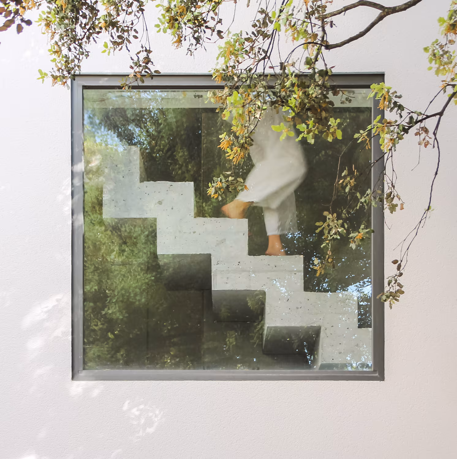 Square window revealing a concrete stair and a person climbing among branches, Ábaton studio