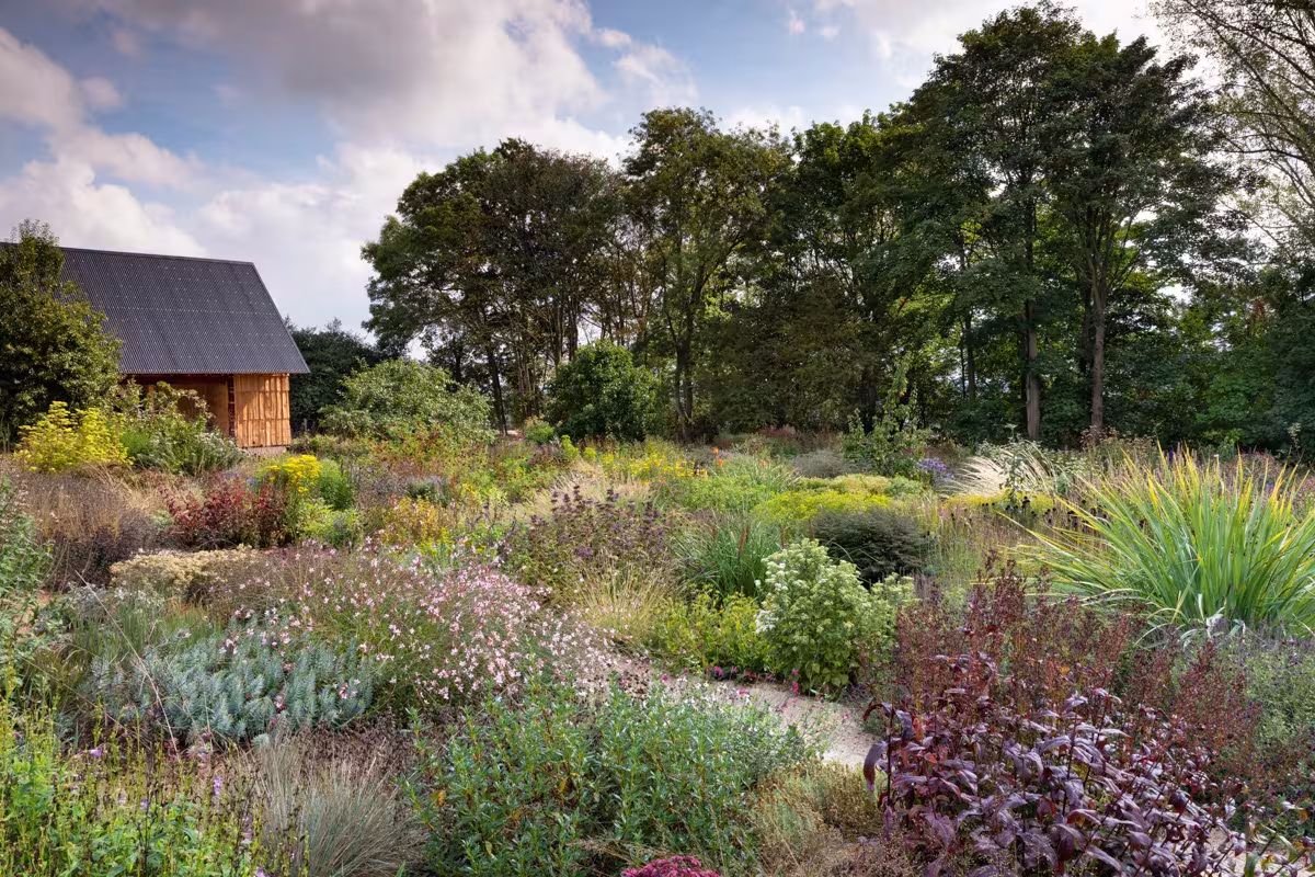 Plantaciones naturalistas de gramíneas y perennes ante un granero de madera en Serge Hill Project, de Tom y Sue Stuart-Smith
