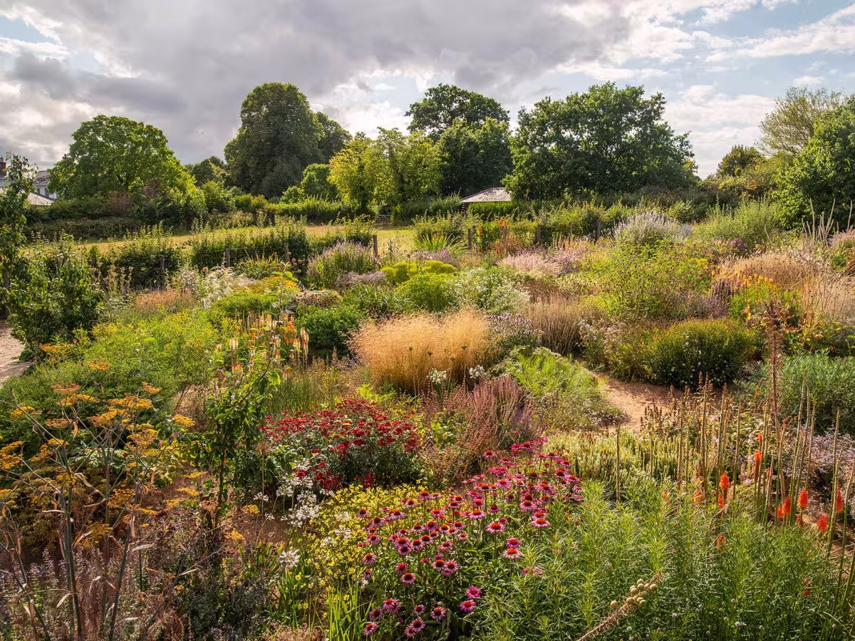 Jardín de Serge Hill Project en verano con perennes y gramíneas mezcladas en un paisaje abierto