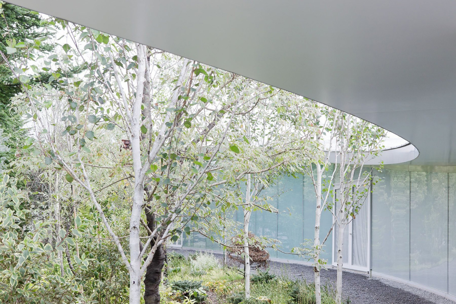 Hiroshi Senju – ABATON Journal7