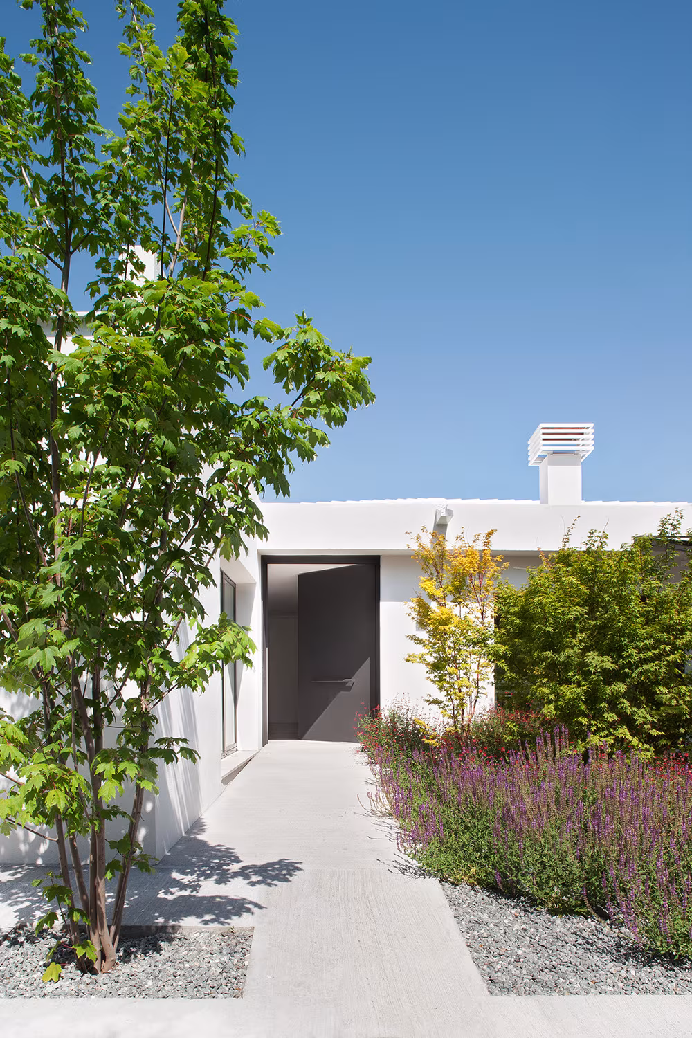 Entrance to the Reforma 300 house in El Escorial along a gravel path between maples and grass planting