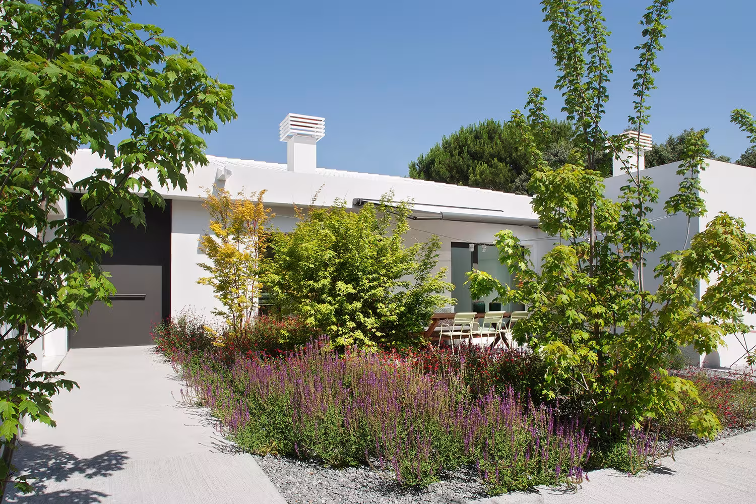 Approach to the house along a path between salvias and maples, black garage door, La Moraleja refurbishment