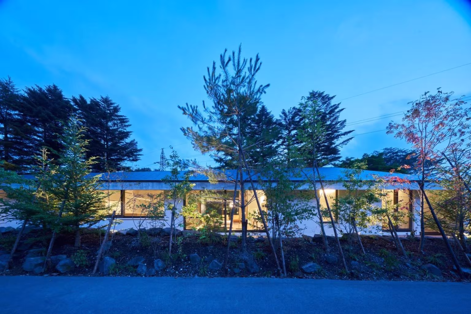 Symbiotic House at dusk, lit up behind the pines with its low, elongated volume in the forest