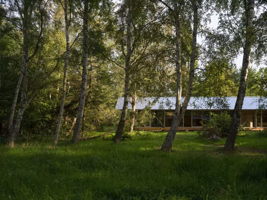 Casa de verano de cubierta ligera entre abedules vista desde el claro del bosque