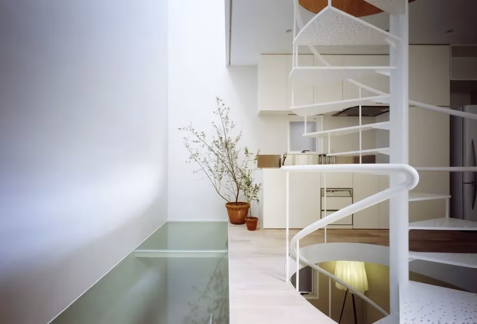 Interior de la House SH con escalera de caracol blanca, piso de vidrio y olivo junto a la doble altura curva