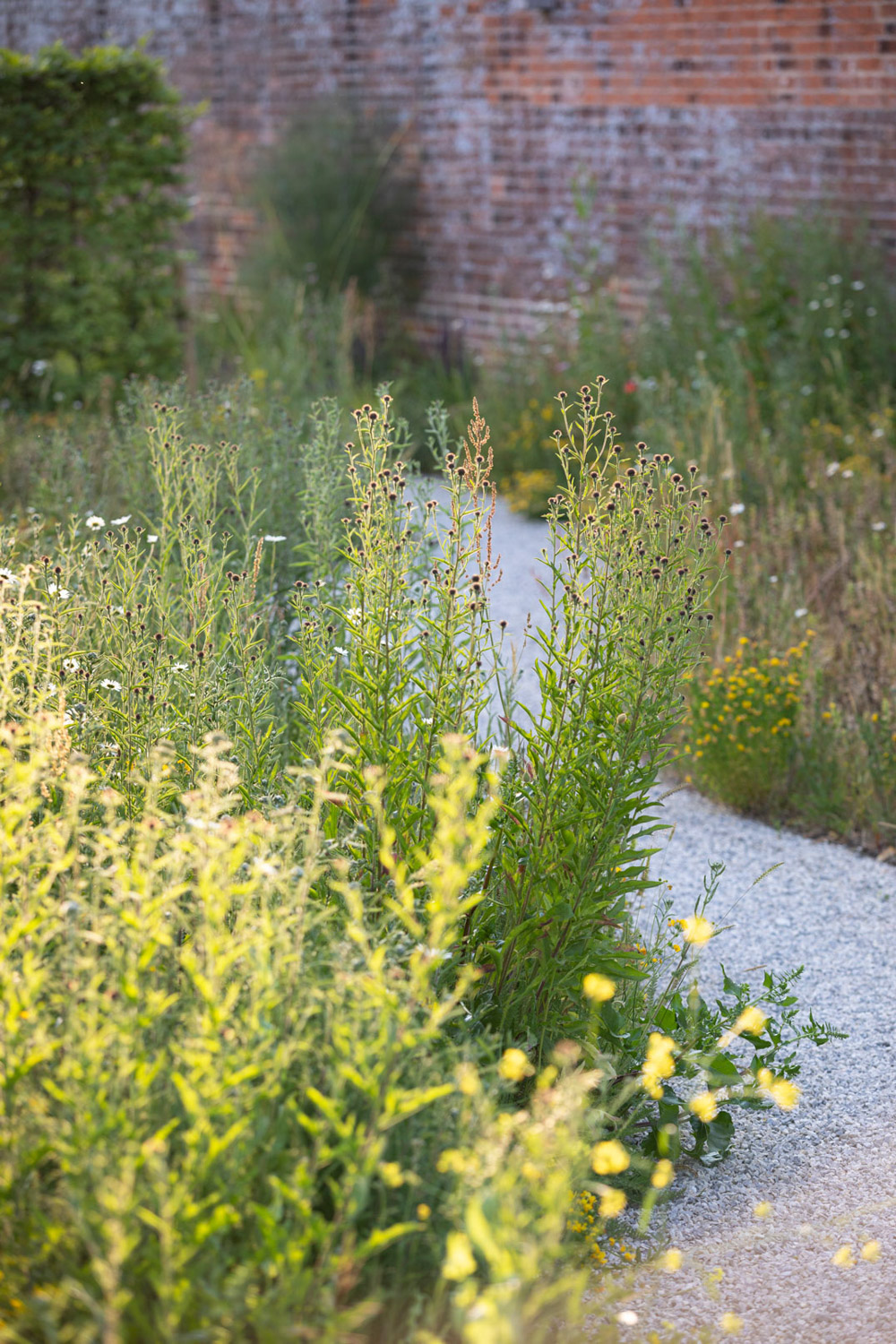 WalledGarden-ABATONJournal-01