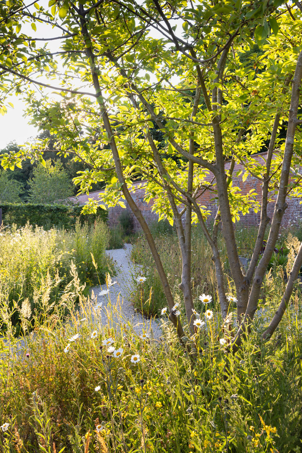 WalledGarden-ABATONJournal-04