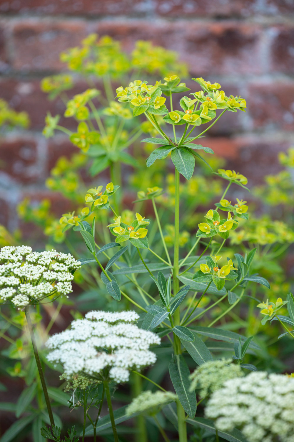 WalledGarden-ABATONJournal-07