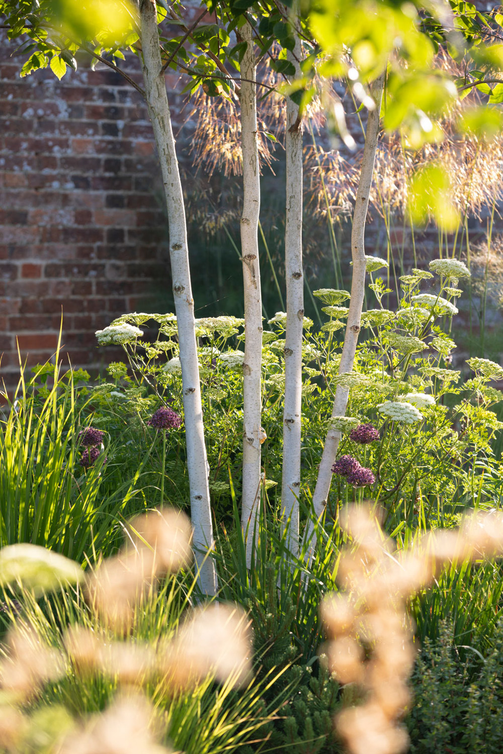 WalledGarden-ABATONJournal-09
