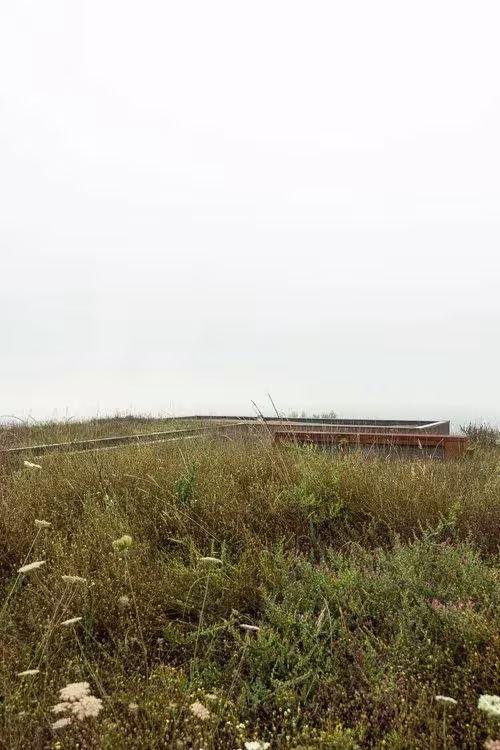 Cubierta de la Casa da Levada cubierta de hierba y flores silvestres, que se confunde con el prado entre la bruma