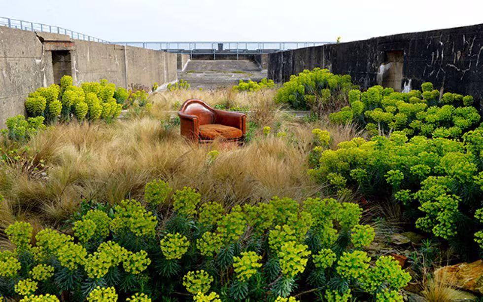 Sillón de cuero entre euforbias y gramíneas dentro de un recinto de hormigón en el Jardín del Tercer Paisaje
