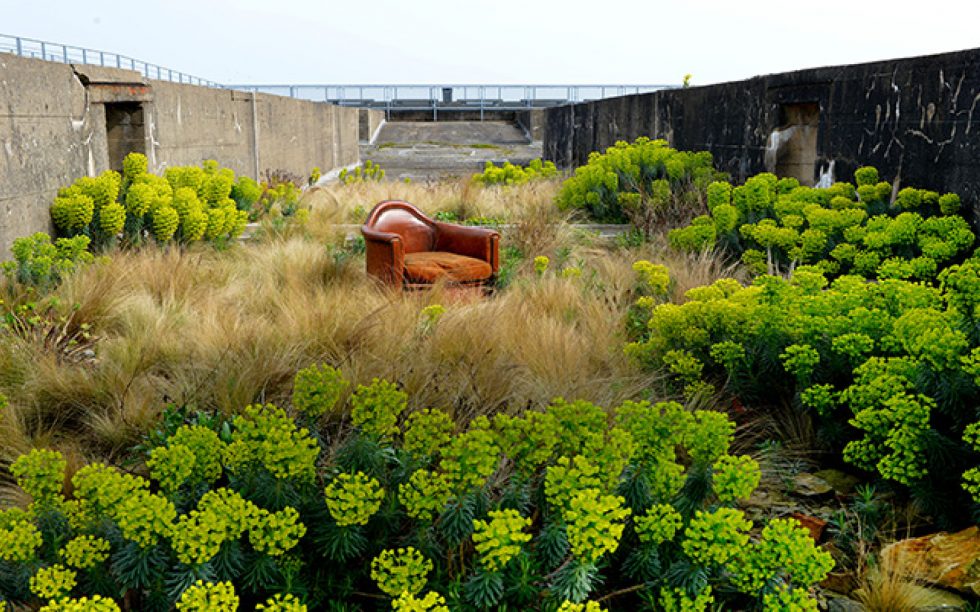 jardin-tercer-paisaje-ABATONJournal