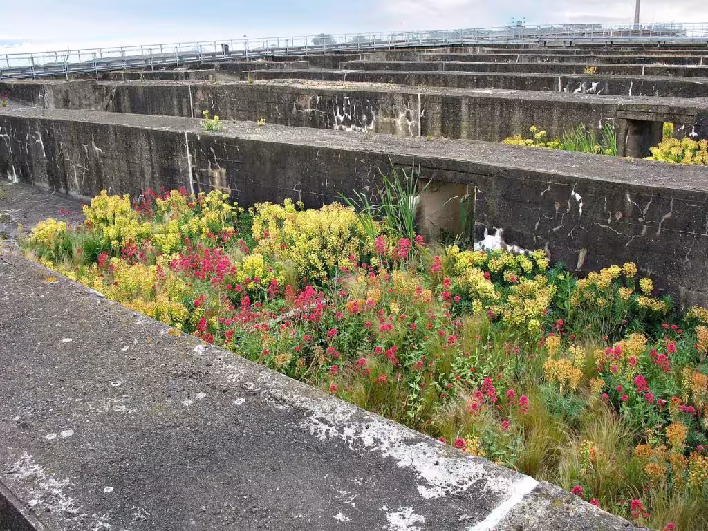 Muros de hormigón con plantaciones de euforbias y valerianas rojas en el Jardín del Tercer Paisaje de Gilles Clément