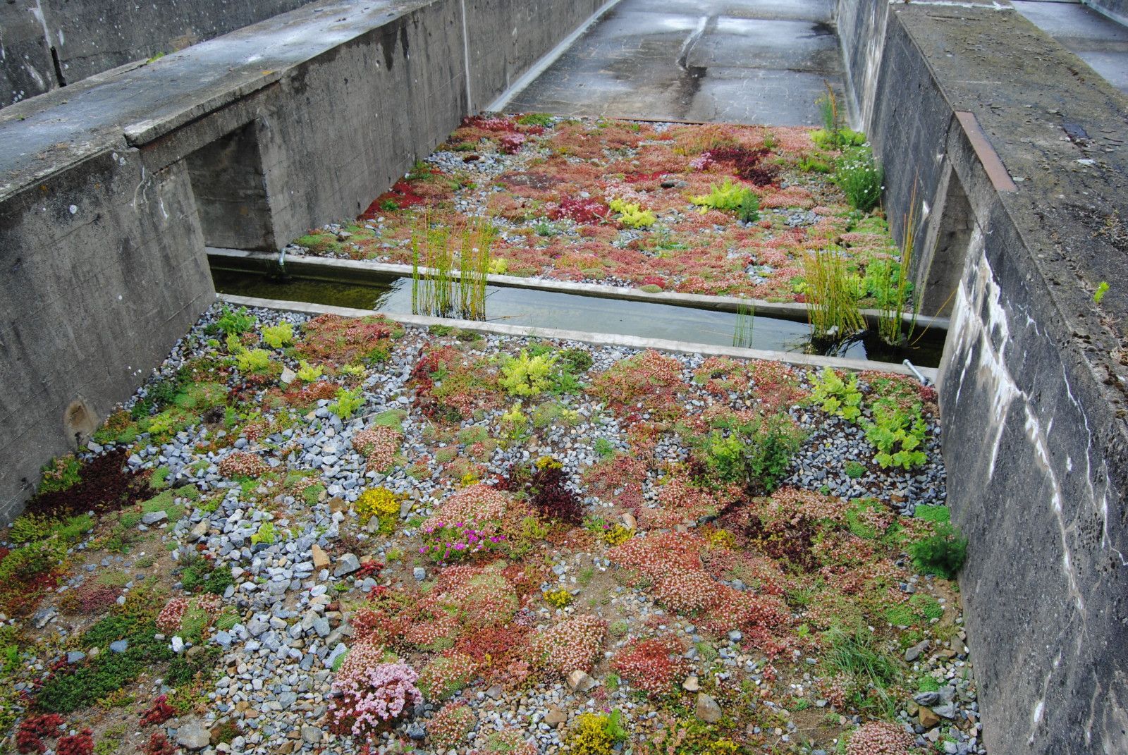 jardin-tercer-paisaje-ABATONJournal13