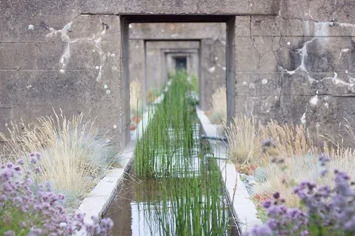 Canal de agua con juncos y flores entre pórticos de hormigón en el Jardín del Tercer Paisaje de Gilles Clément