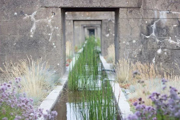 jardin-tercer-paisaje-ABATONJournal3