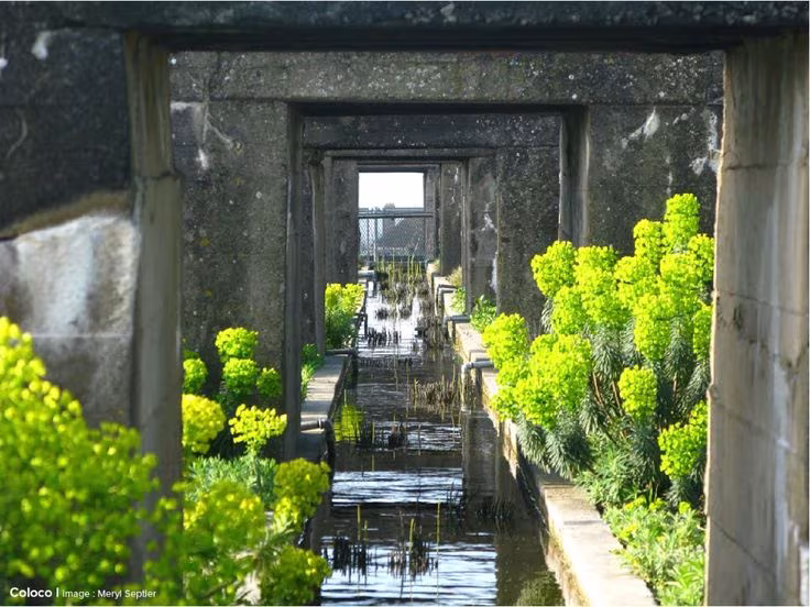 Pórticos de hormigón enfilados con un canal de agua y euforbias verdes en el Jardín del Tercer Paisaje