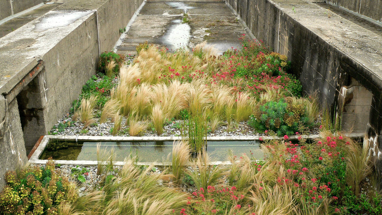 jardin-tercer-paisaje-ABATONJournal7