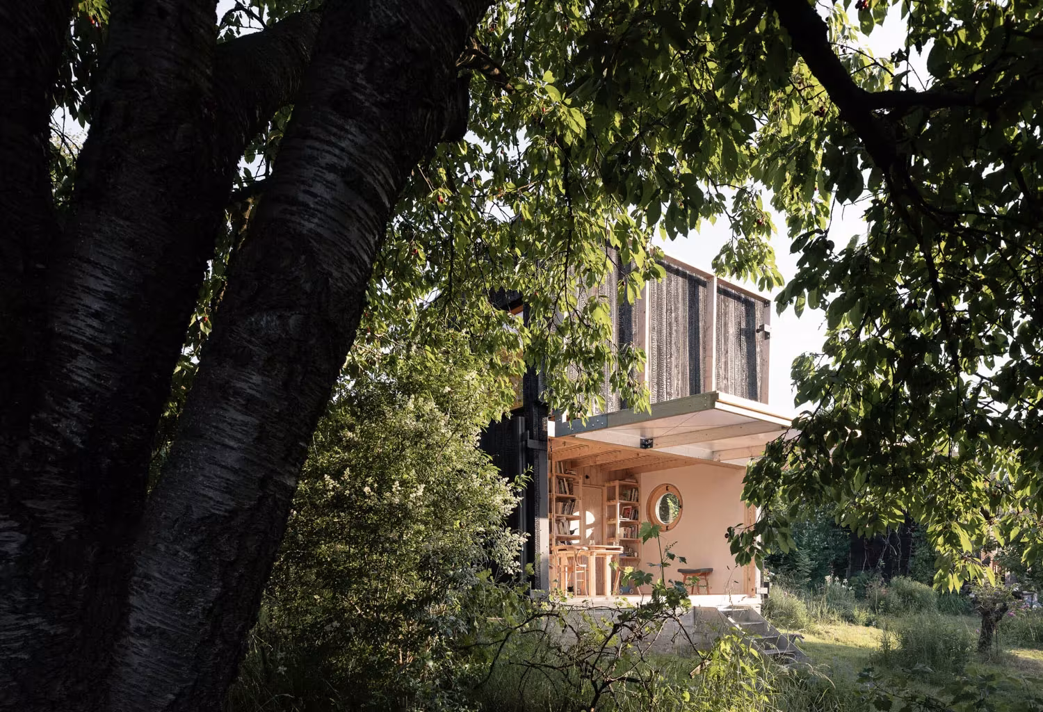 Pabellón de BYRÓ architekti entre las ramas de un cerezo en el jardín, con el volumen de madera quemada
