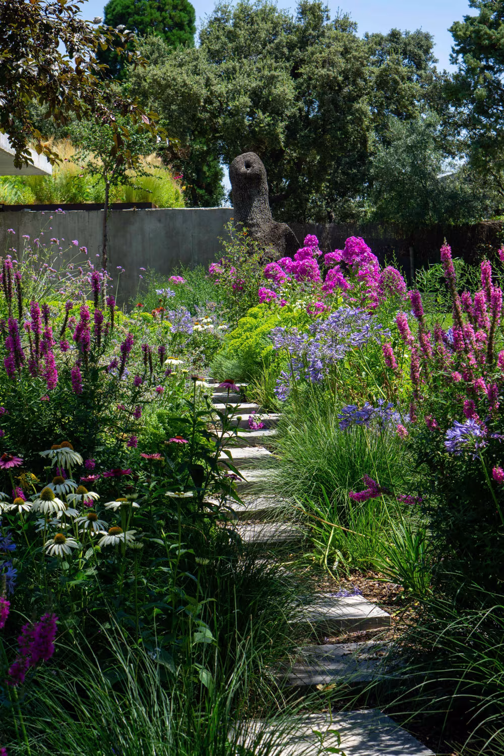 Sendero de losas entre phlox, lythrum y gramíneas que sube hacia un muro de hormigón en el jardín del Proyecto AF