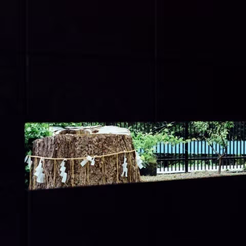 Hueco horizontal en el muro negro que enmarca un tronco con cuerda sagrada en Ueno Toshogu
