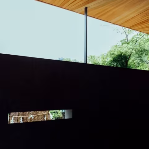 Rendija en el muro negro del pabellón de Ueno Toshogu que deja ver un tronco con cuerda sagrada