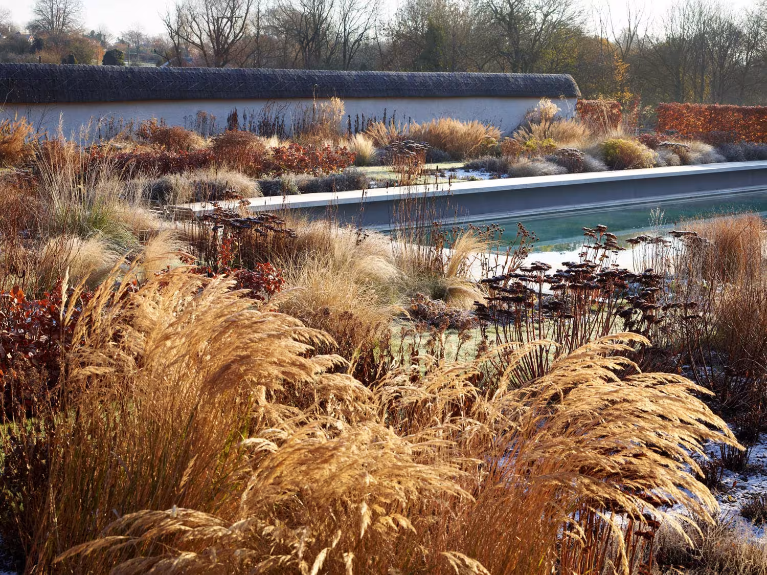 Gramíneas secas en otoño sobre la lámina de agua del estanque de Wiltshire Garden