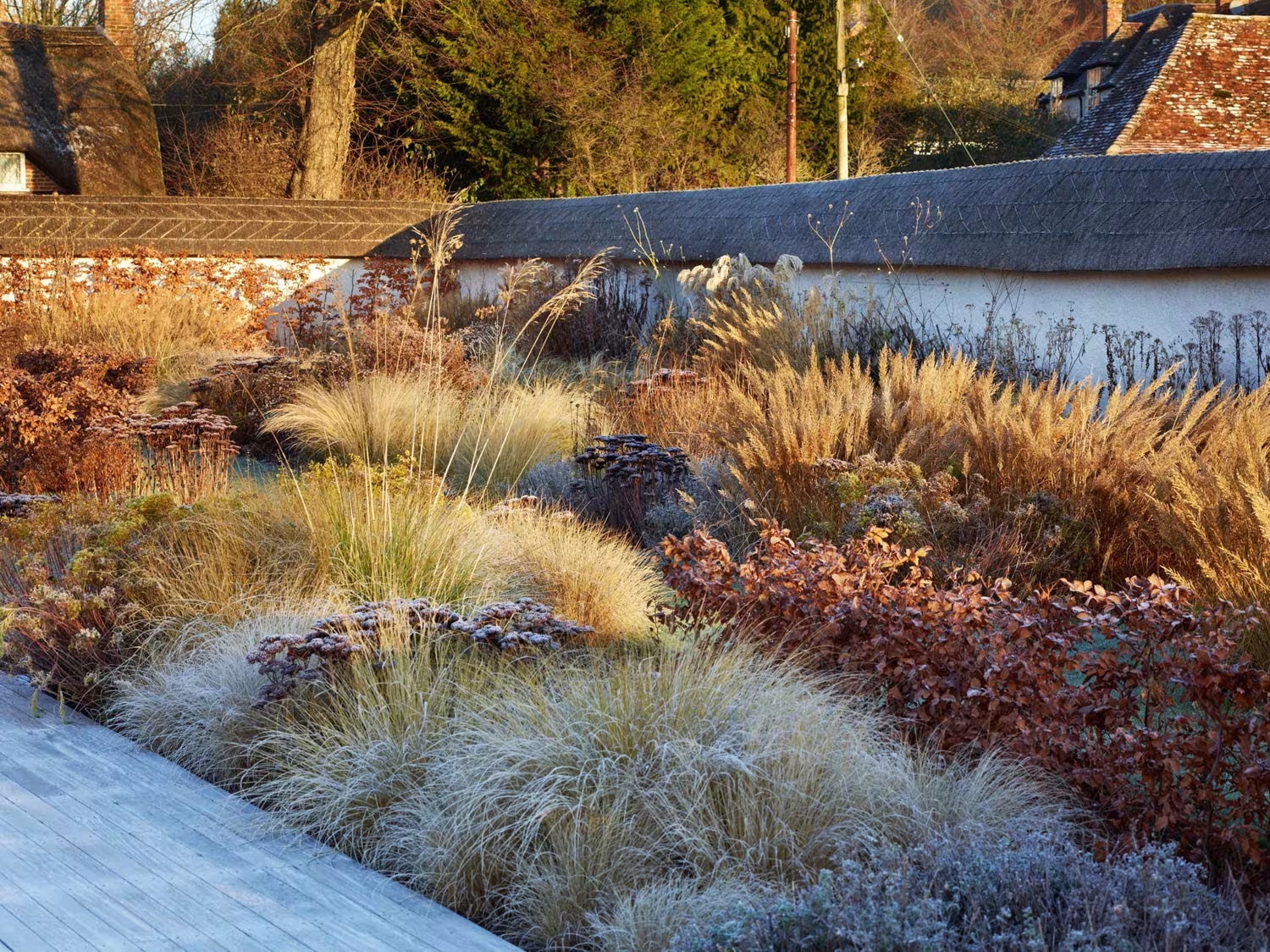 Plantas perennes ocres y plateadas al atardecer junto a la pasarela y el muro en Wiltshire Garden