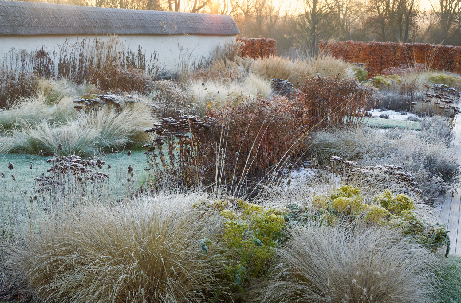 gallery_12_Wiltshire_APM