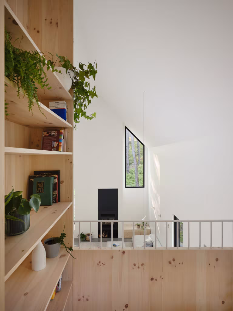 Pine shelving with plants beside the mezzanine railing at TISSARAOUATA