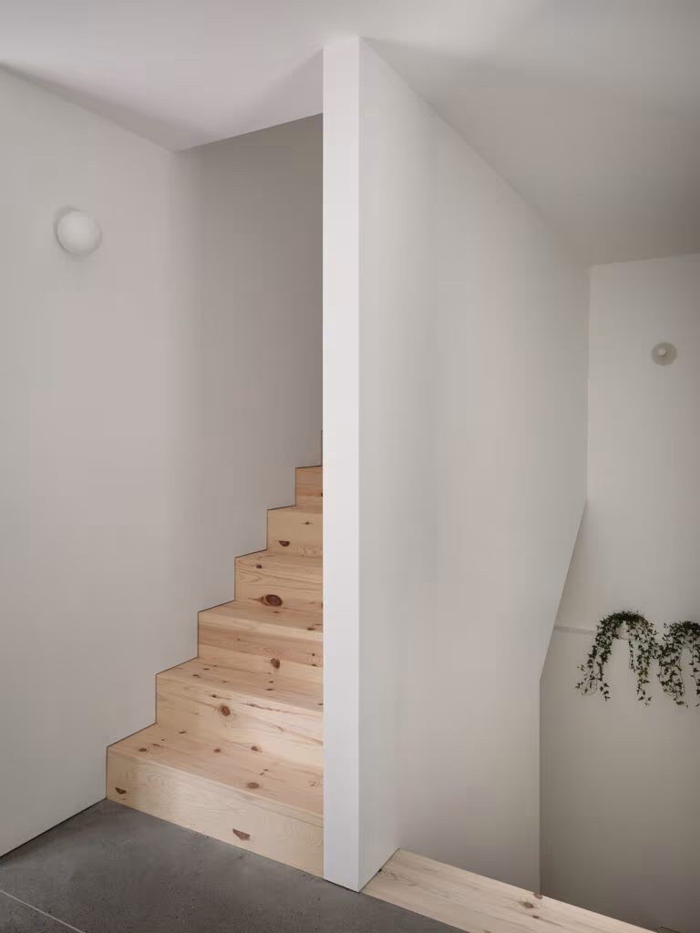 Pine staircase between white walls with a trailing plant at TISSARAOUATA
