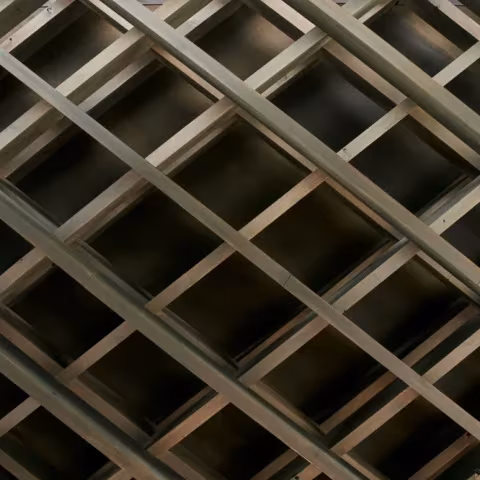 Detalle del cielo raso en retícula diagonal de madera oscura del pabellón de Ueno Toshogu